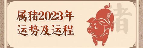 2024年属猪运势|属猪2024年运势及运程详解每月 2024年属猪人的全年运势